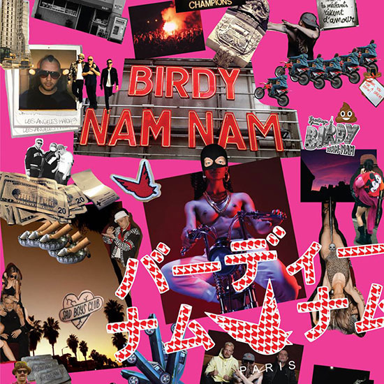 Birdy Nam Nam 